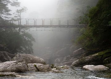 Pont piétonnier au-dessus de la rivière