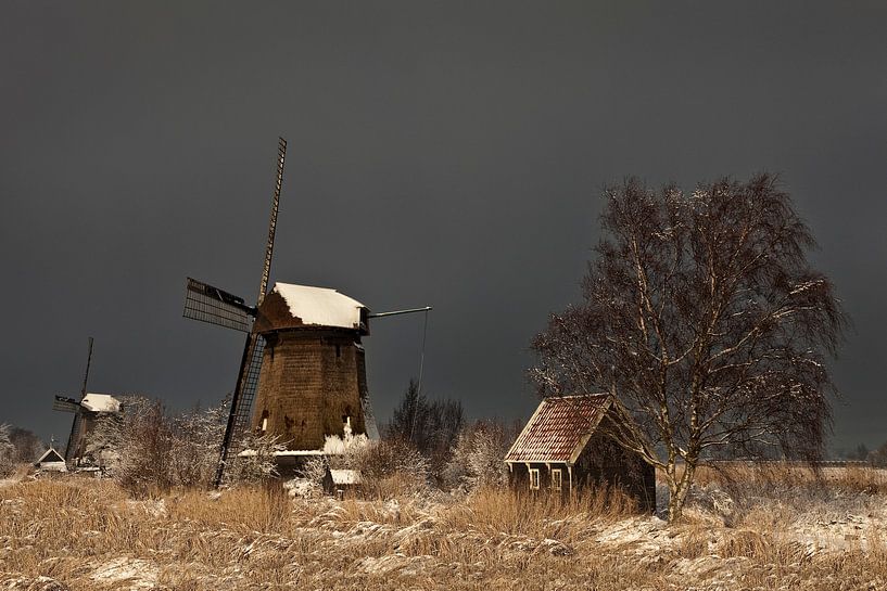 Windmühle im Winter in den Niederlanden von Peter Bolman