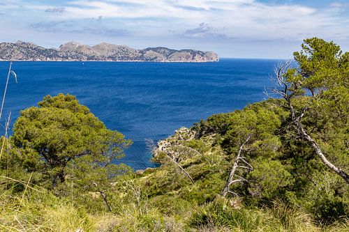 Paysage côtier devant la péninsule de La Victoria à Majorque