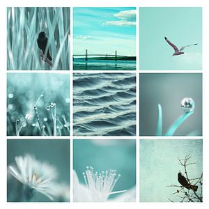 3x3 Bleu Aqua