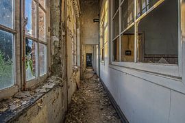 allée abandonnée sur Ivana Luijten