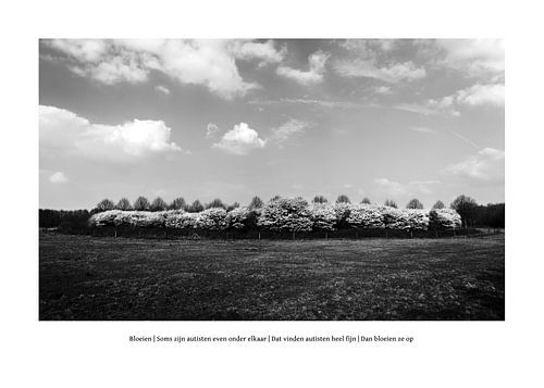 Wie Autismus aussieht: Blühen