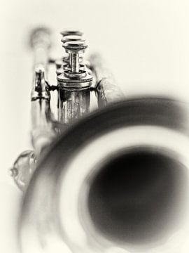 Solo... (music, musical instrument, trumpet, jazz) by Bob Daalder