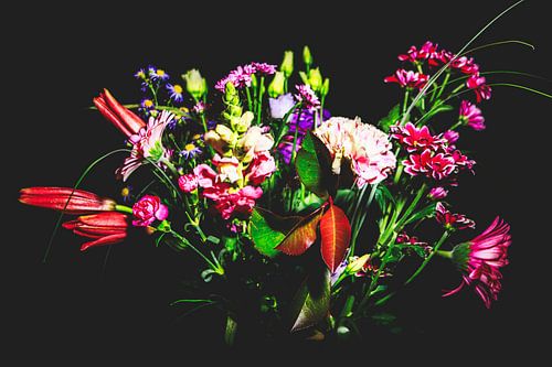 Bloemen op donkere achtergrond