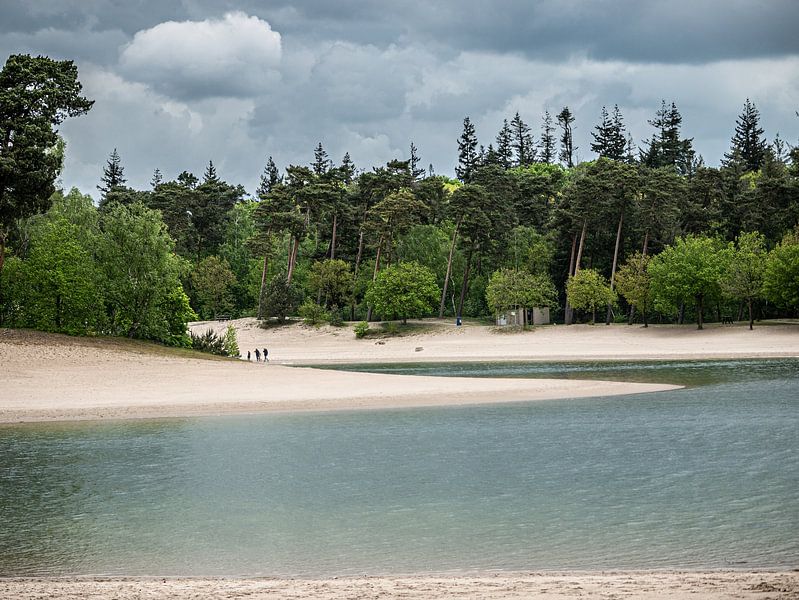 Henschotenmeer van Larissa Geuke