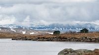 Hardangervidda National Park in Norway