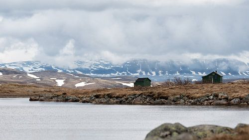 Parc national de Hardangervidda en Norvège