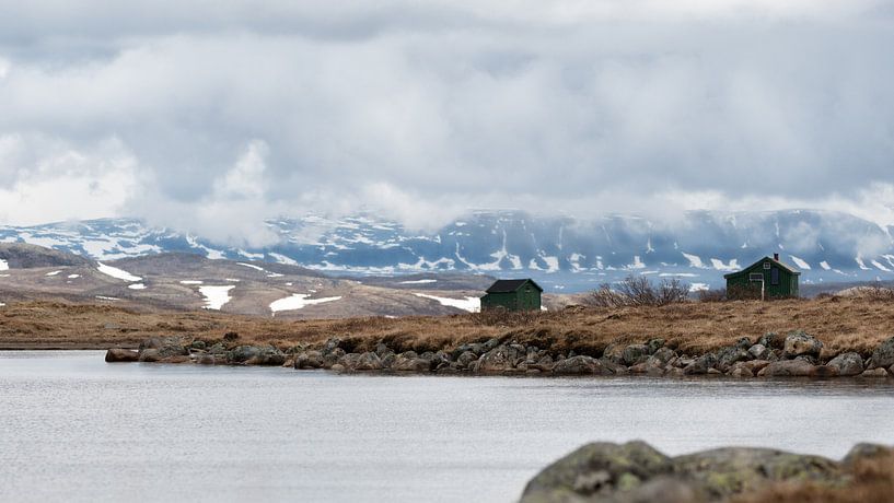 Hardangervidda National Park in Norwegen von Sonja Foerster-Odenthal