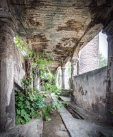 Usine à béton abandonnée