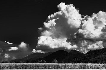 Galizien in Kärnten - Österreich von Stephan Zaun