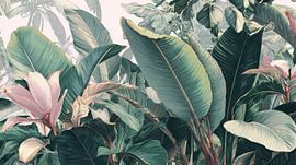 Tropical Plants Lush Illustration with Soft Colours by Eva Lee