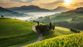 Toscane met landschap