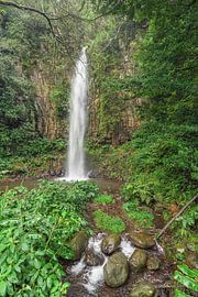 Waterfall in Madeira by Michael Valjak