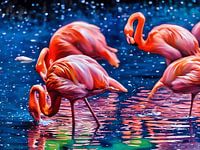 Flamingo's in een rustige lagune