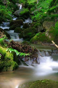 Waterval 2 van Matthijs Damen