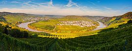 Panorama Leiwen et Trittenheim, Allemagne sur Henk Meijer Photography