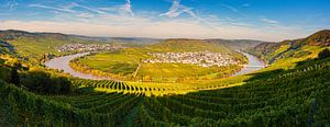 Panorama Leiwen und Trittenheim, Deutschland