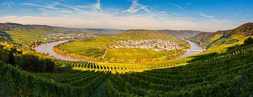 Panorama Leiwen and Trittenheim, Germany by Henk Meijer Photography