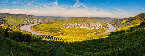 Panorama Leiwen en Trittenheim, Duitsland