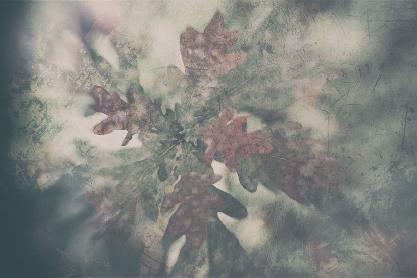 Eiche von Raymond Schoofs