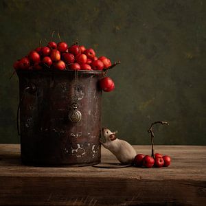 Pommes rouges sur Carolien van Schie