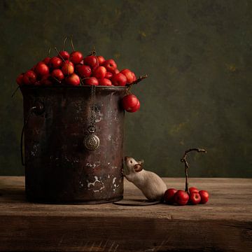 Rote Äpfel von Carolien van Schie