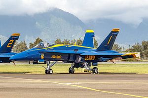 Blue Angels Boeing F/A18 C Hornet op Hawaï. van Jaap van den Berg