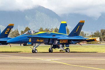 Blue Angels Boeing F/A18 C Hornet à Hawaii. sur Jaap van den Berg