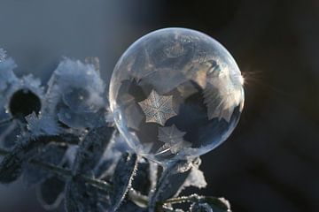 Kunst aus Eis und Seife by Susann Fleischer