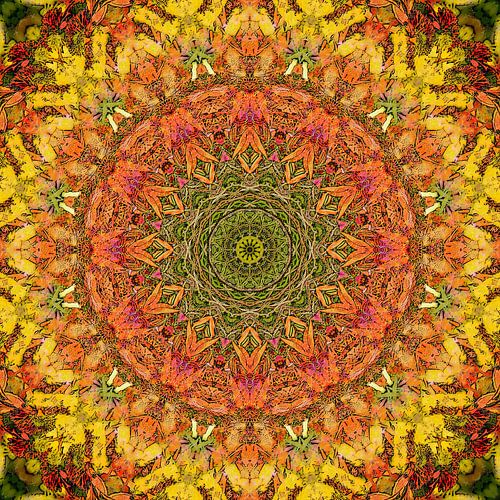 Mandala Tricolore