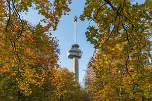 Der Park und der Euromast in Rotterdam in Herbstfarben von MS Fotografie | Marc van der Stelt