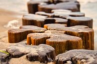 Buhne in Zingst at the Baltic Sea, at sunset by Martin Köbsch thumbnail