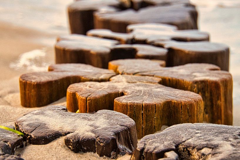 Buhne in Zingst at the Baltic Sea, at sunset by Martin Köbsch