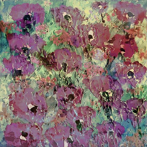 Een viering van klaprozen