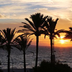 Zonsondergang met palmbomen  van Jet Couzijn
