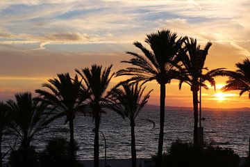 Zonsondergang met palmbomen  van Jet Couzijn