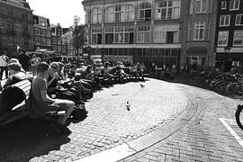 In the sun. by JRobert Photography