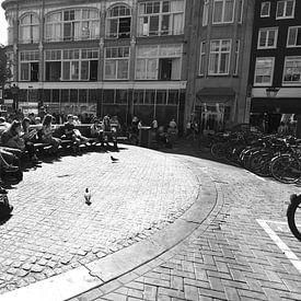 In the sun. by JRobert Photography