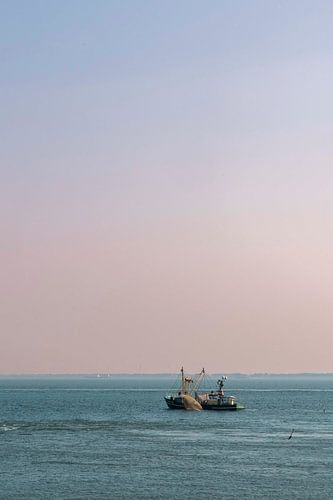 Bateau de pêche dans le silence du petit matin - Flushing