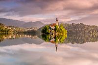 Maria Hemelvaartskerk Bled, Slovenië