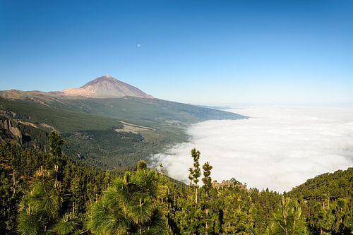 Teide and Orotava cloud