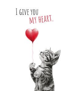 True cat love