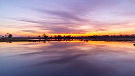 Pink by Anneke Hooijer