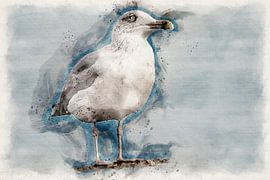 Seagull by Stephan Zaun