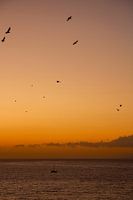 Segelboot bei Sonnenuntergang