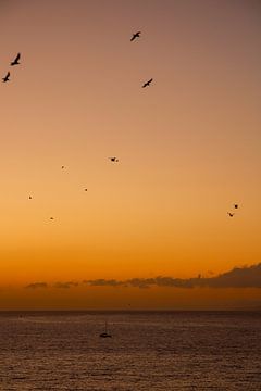 Sailboat at sunset by LUNA Fotografie