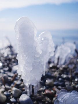 Eis am Stiel – Darß Weststrand im Winter 2018 von Jörg Hausmann