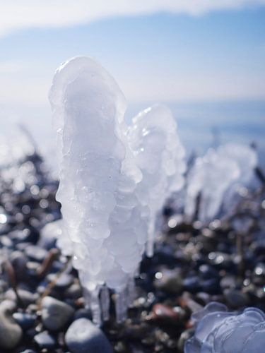 Eis am Stiel – Darß Weststrand im Winter 2018