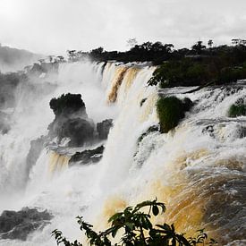 De prachtige Iguazu watervallen in Argentinië van Carl van Miert