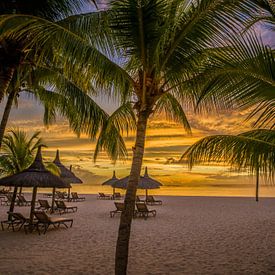 Mauritius - Sonnenuntergang am Strand von t.ART